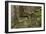 Beautiful Mysterious Forest with Large Mossy Stones-Anton Petrus-Framed Photographic Print