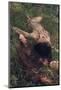 Beautiful Mysterious Woman in Forest-Lisa_A-Mounted Photographic Print