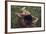 Beautiful Mysterious Woman in Forest-Lisa_A-Framed Photographic Print