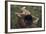 Beautiful Mysterious Woman in Forest-Lisa_A-Framed Photographic Print