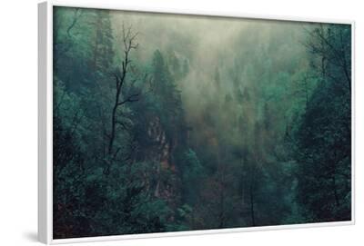 Beautiful Mystical Landscape Fog In The Forest Dark Color Mist Among Woods Photographic Print Poprotskiy Alexey Allposters Com Beautiful Mystical Landscape Fog In The Forest Dark Color Mist Among Woods Photographic Print Poprotskiy Alexey Allposters Com