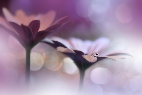 Photo, , large