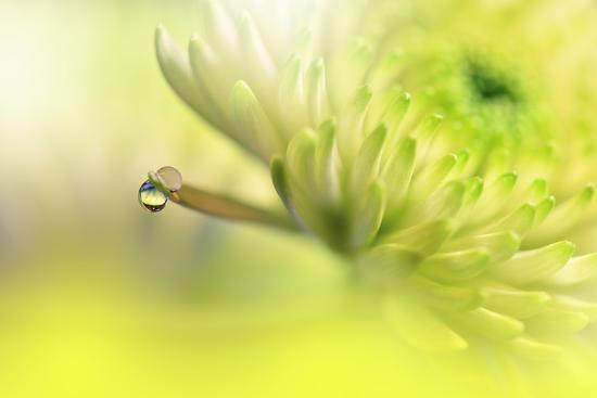 Photo, , large