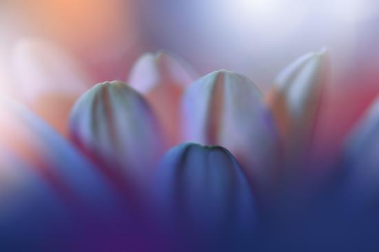 Photo, , large