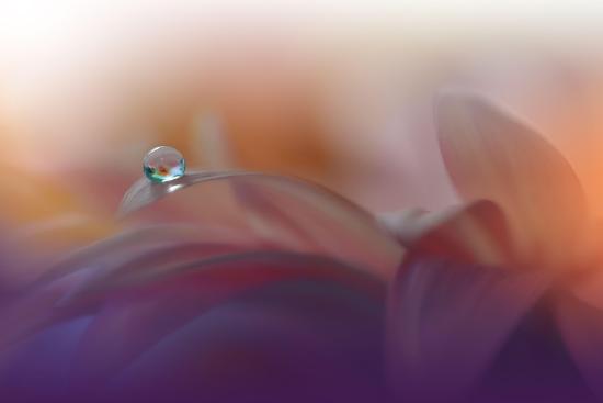 Photo, , large