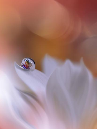 Photo, , large