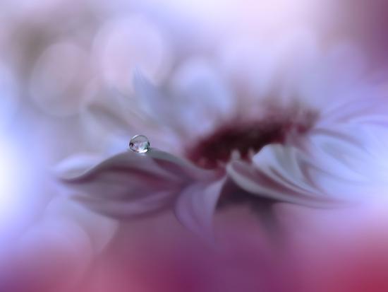 Photo, , large