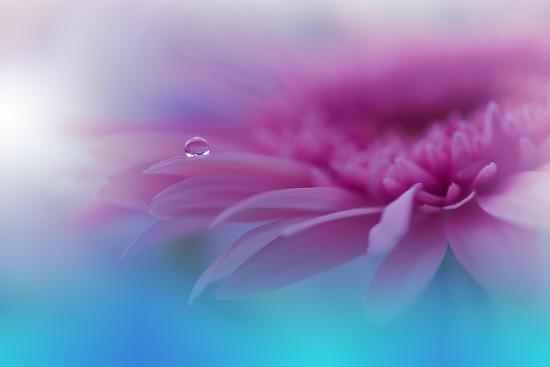 Photo, , large