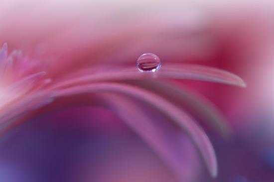 Photo, , large