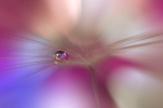 Photo, , large