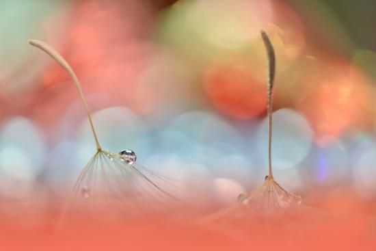Photo, , large
