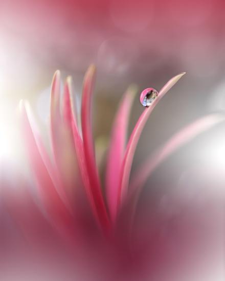 Photo, , large