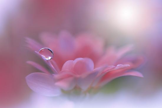 Photo, , large