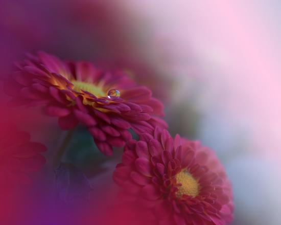 Photo, , large