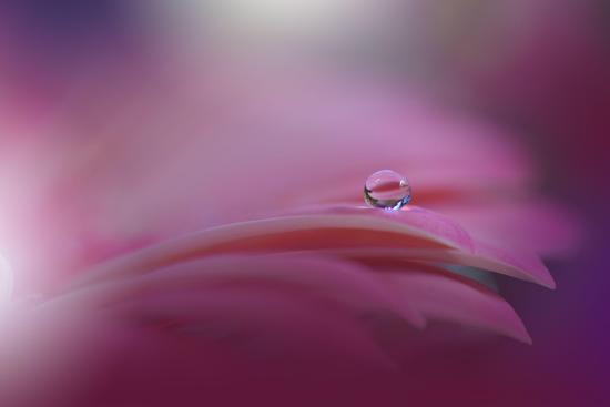 Photo, , large