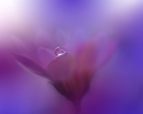Photo, , large