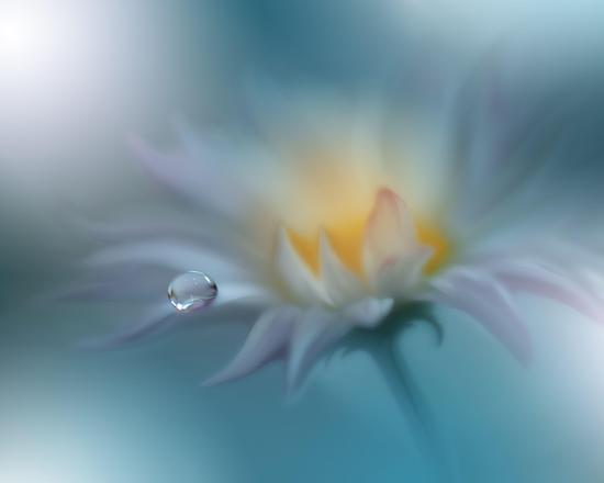 Photo, , large