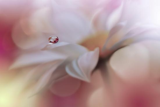 Photo, , large