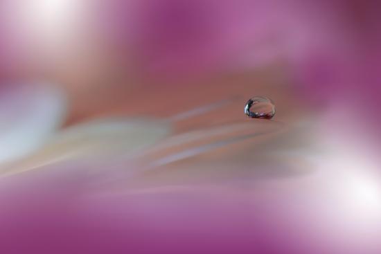 Photo, , large