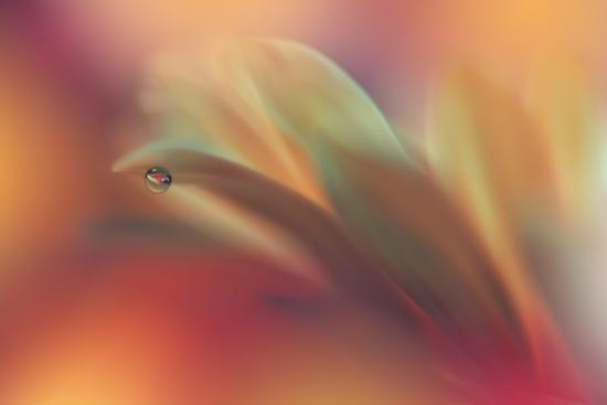 Photo, , large
