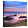 Beautiful Nature Scene, Mount Tamalpais, Marin County, California-Della Huff-Stretched Canvas