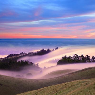 https://imgc.allpostersimages.com/img/posters/beautiful-nature-scene-mount-tamalpais-marin-county-california_u-L-Q13F45A0.jpg?artPerspective=n
