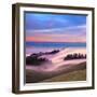 Beautiful Nature Scene, Mount Tamalpais, Marin County, California-Della Huff-Framed Photographic Print