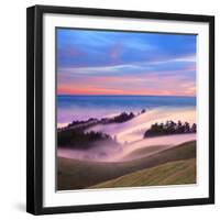 Beautiful Nature Scene, Mount Tamalpais, Marin County, California-Della Huff-Framed Photographic Print