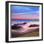 Beautiful Nature Scene, Mount Tamalpais, Marin County, California-Della Huff-Framed Photographic Print