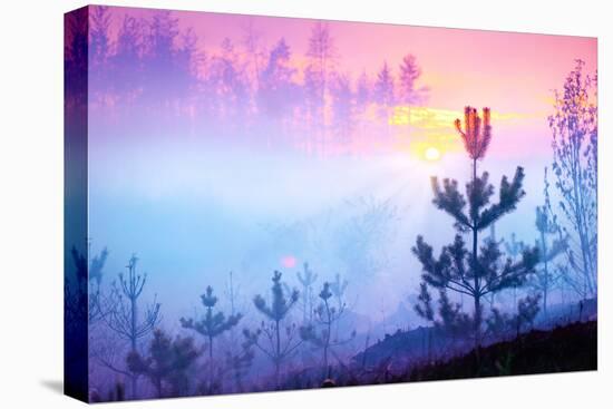 Beautiful Nature Sunrise Foggy Landscape. Misty Forest. Spring Nature. Park with Trees. Tranquil Ba-Subbotina Anna-Stretched Canvas