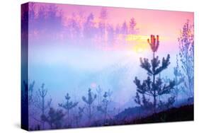 Beautiful Nature Sunrise Foggy Landscape. Misty Forest. Spring Nature. Park with Trees. Tranquil Ba-Subbotina Anna-Stretched Canvas