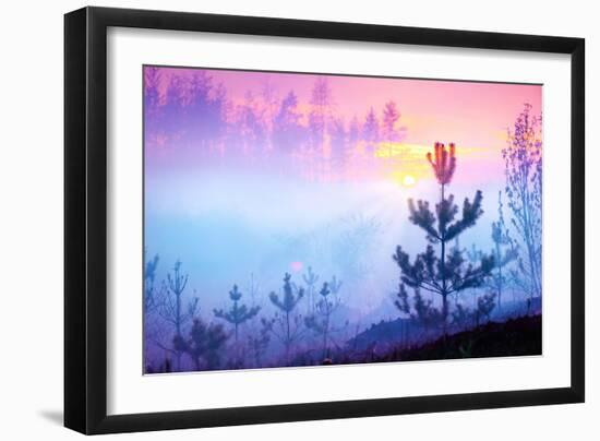 Beautiful Nature Sunrise Foggy Landscape. Misty Forest. Spring Nature. Park with Trees. Tranquil Ba-Subbotina Anna-Framed Photographic Print