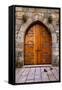 Beautiful Old Wooden Door with Iron Ornaments in a Medieval Castle-ccaetano-Framed Stretched Canvas