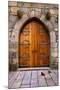Beautiful Old Wooden Door with Iron Ornaments in a Medieval Castle-ccaetano-Mounted Photographic Print