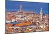 Beautiful orange roofs and neighborhoods, houses and church in Venice, Italy.-William Perry-Mounted Photographic Print