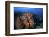 Beautiful Orange Soft Corals on a Current-Swept Reef in Indonesia-Stocktrek Images-Framed Photographic Print