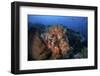 Beautiful Orange Soft Corals on a Current-Swept Reef in Indonesia-Stocktrek Images-Framed Photographic Print