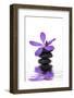 Beautiful Orchid and Stone with Water Reflection-crystalfoto-Framed Photographic Print