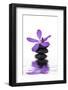 Beautiful Orchid and Stone with Water Reflection-crystalfoto-Framed Photographic Print