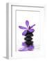 Beautiful Orchid and Stone with Water Reflection-crystalfoto-Framed Photographic Print