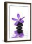 Beautiful Orchid and Stone with Water Reflection-crystalfoto-Framed Photographic Print