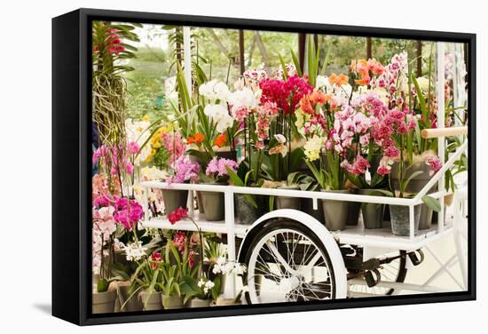 Beautiful Orchid-maksheb-Framed Stretched Canvas