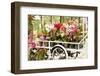 Beautiful Orchid-maksheb-Framed Photographic Print