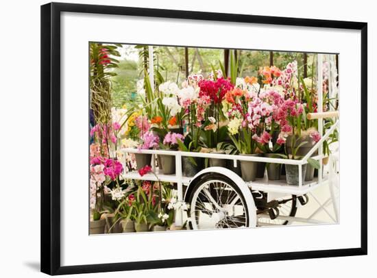 Beautiful Orchid-maksheb-Framed Photographic Print