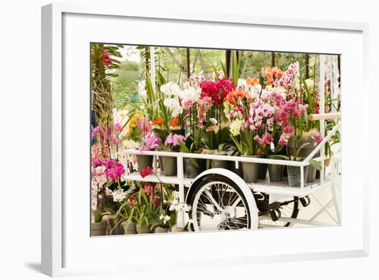 Beautiful Orchid-maksheb-Framed Photographic Print