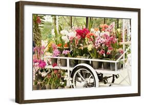 Beautiful Orchid-maksheb-Framed Photographic Print