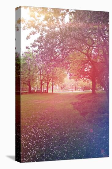 Beautiful Outdoor Park with Rays of Light-melking-Stretched Canvas