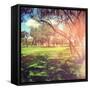 Beautiful Outdoor Park with Rays of Light-melking-Framed Stretched Canvas