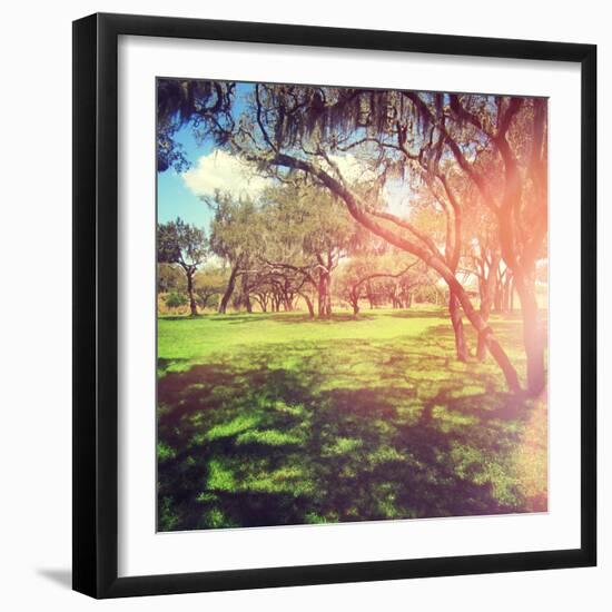 Beautiful Outdoor Park with Rays of Light-melking-Framed Photographic Print