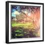 Beautiful Outdoor Park with Rays of Light-melking-Framed Photographic Print